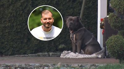 Nach tödlicher Attacke in Lohne! Hundetrainer ordnet ein: Warum Hunde ihre Halter angreifen