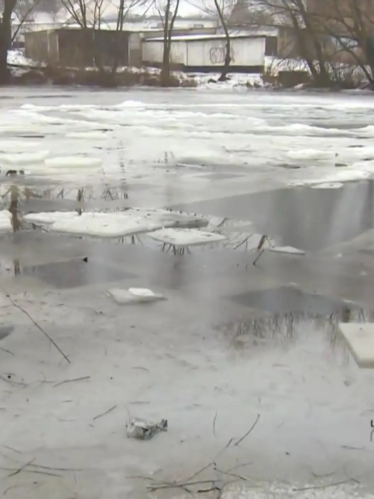 Bild zu: "Familienvater stirbt beim Eistauchen"