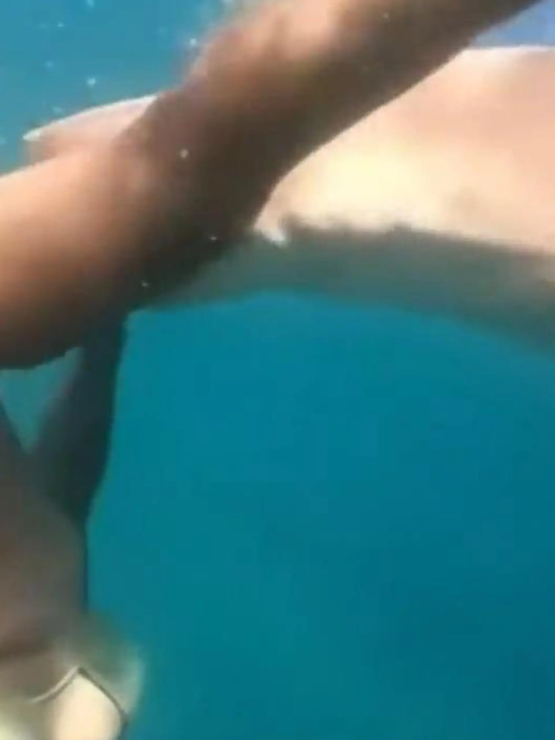 Bild zu: "Hai-Angriff auf Schnorchlerin! Raubfisch verbeißt sich in Tayane (36)"
