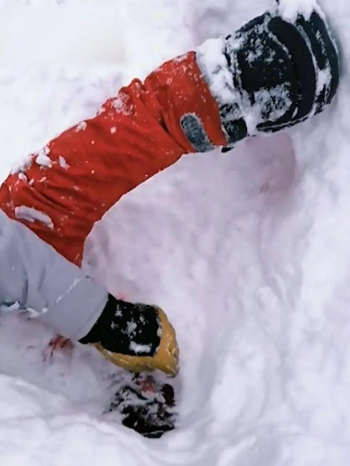 Bild zu: "Rettungsdrama in Schweizer Alpen! Riesige Lawine verschlingt Skifahrer"
