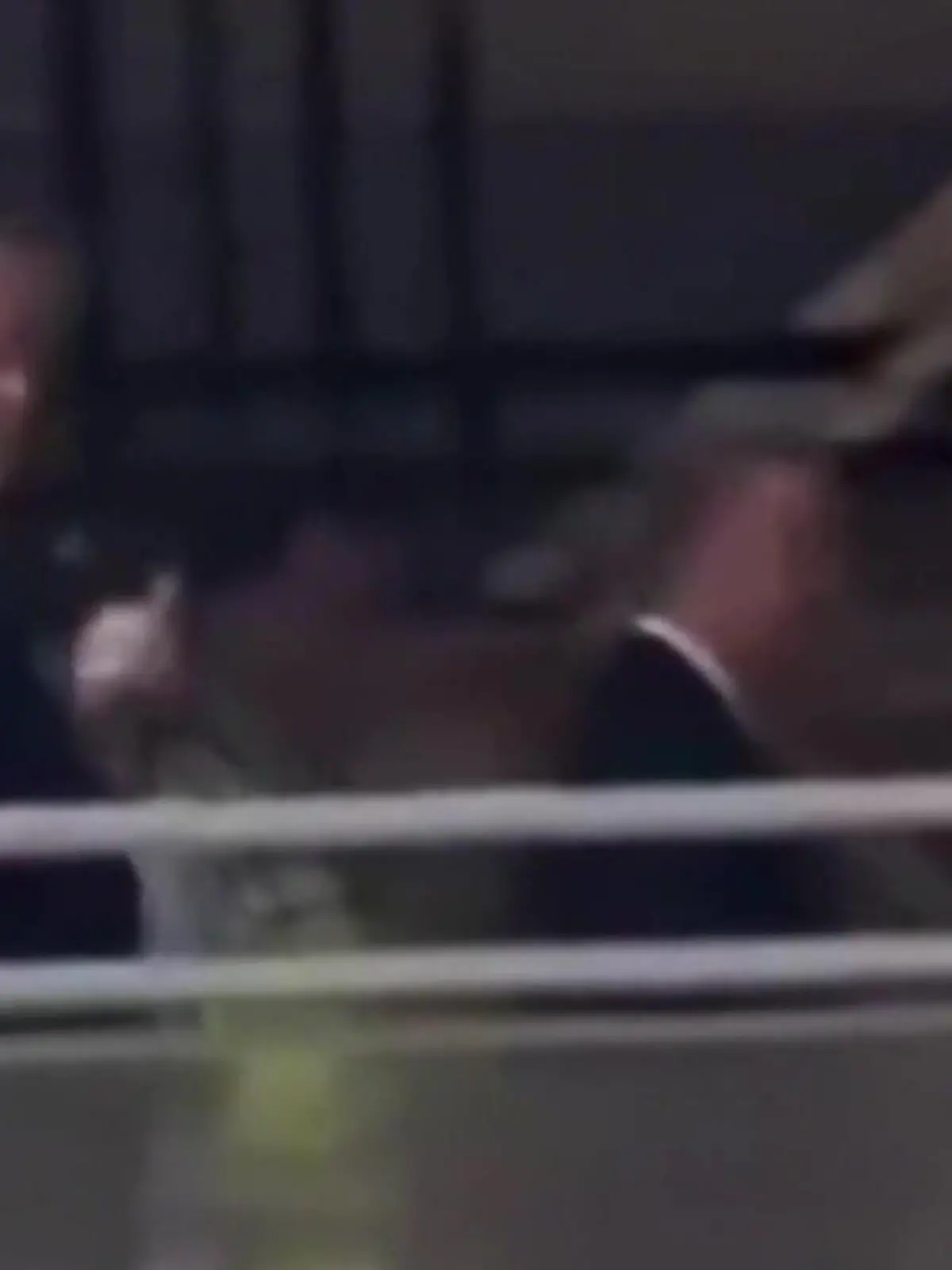Bild zu: "Heftige Entgleisung! Donald Trump zeigt Demonstranten den Mittelfinger"