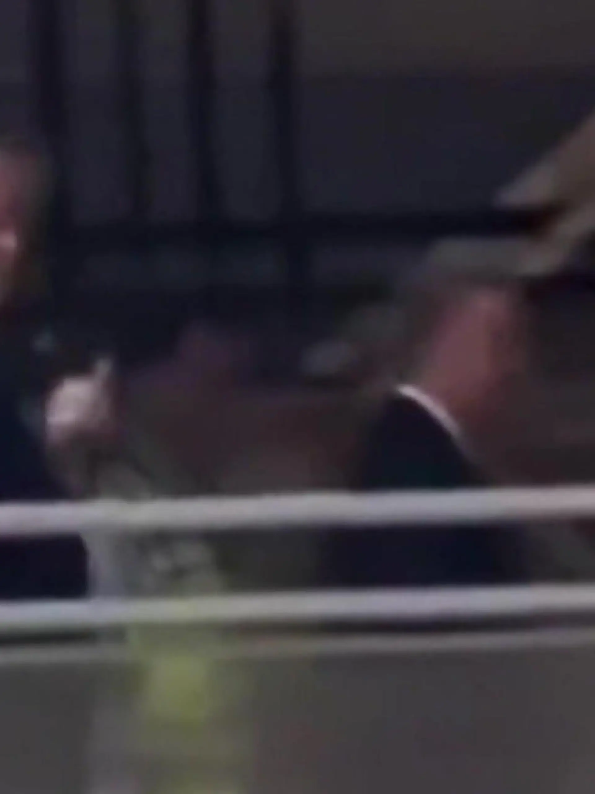 Bild zu: "Heftige Entgleisung! Donald Trump zeigt Demonstranten den Mittelfinger"