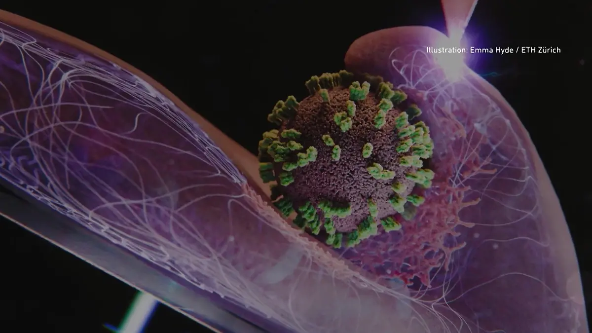 Grippewelle-in-Deutschland-Mutierter-Influenza-A-Virus-H3N2-trickst-Impfstoff-aus-rzte-alarmiert