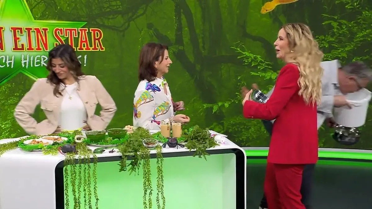 Claudia Obert zwingt „Punkt 12“-Moderator zum Ekel-Essen Bernd Fuchs greift zum Eimer – und verschwindet!