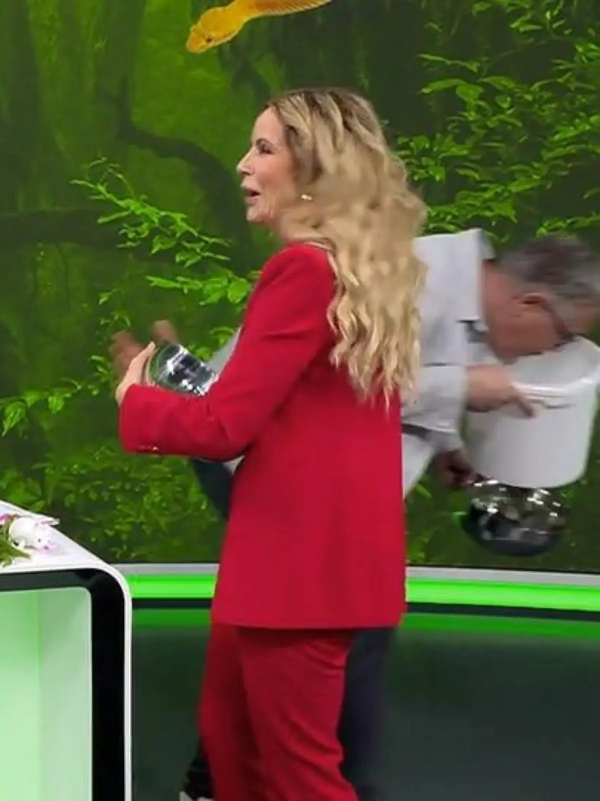 Bild zu: "Claudia Obert zwingt „Punkt 12“-Moderator zum Ekel-Essen"