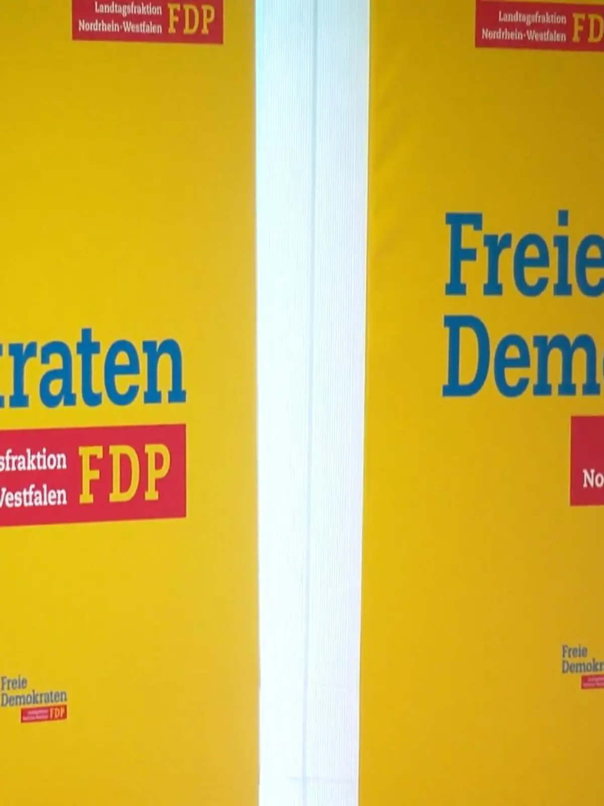Bild zu: "Wofür steht noch die FDP?"