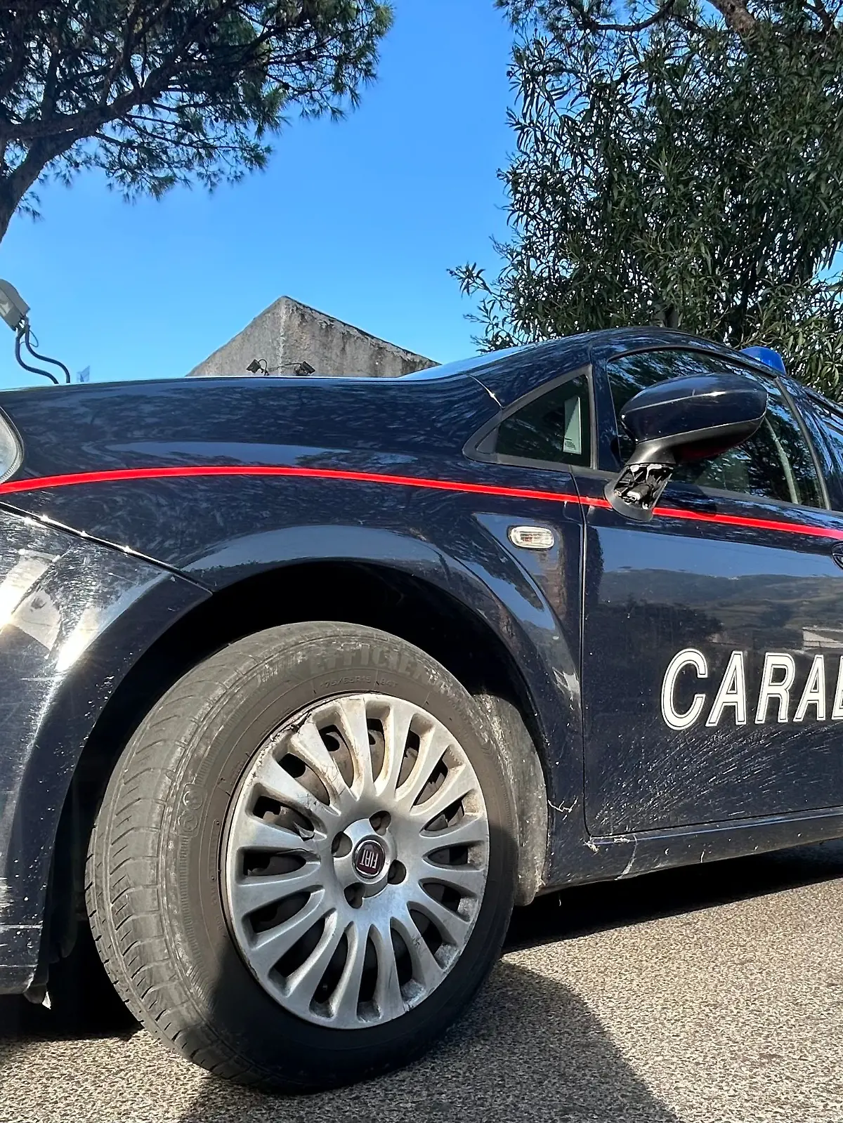 Der Lebensgefährte von Franka L. sitzt jetzt in Untersuchungshaft. (Symbolbild)