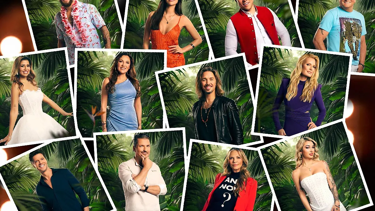 Moderator Jan Köppen hat die neuen Kandidaten unter die Lupe genommen.