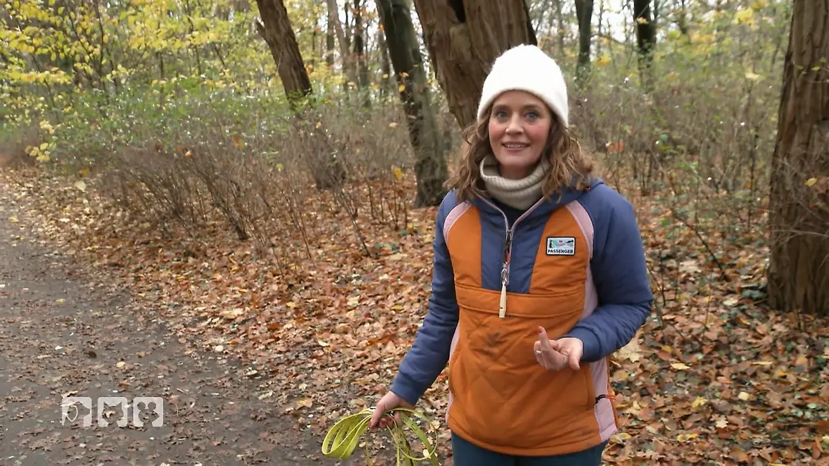 Kate Kitchenhams Hund Boo ist in der Pubertät Testet Grenzen aus