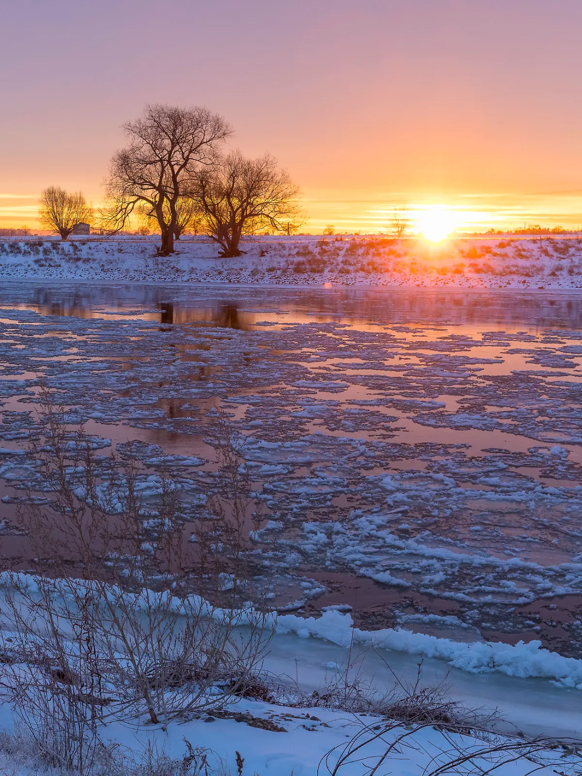kalter Wintermorgen an der Elbe mit schwimmenden Eisschollen, Schnee und Morgenrot bei Sonnenaufgang, Kötzschenbroda, Ra