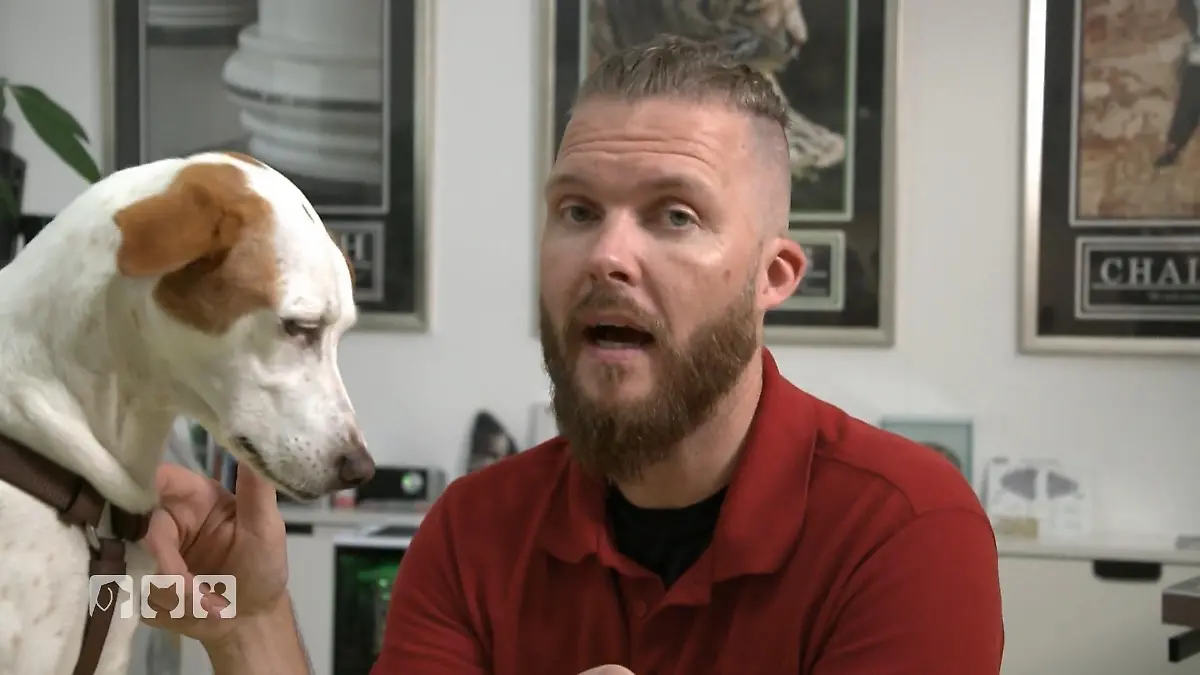 Tierarzt Sebastian Goßmann-Jonigkeit klärt auf Leishmaniose im Check