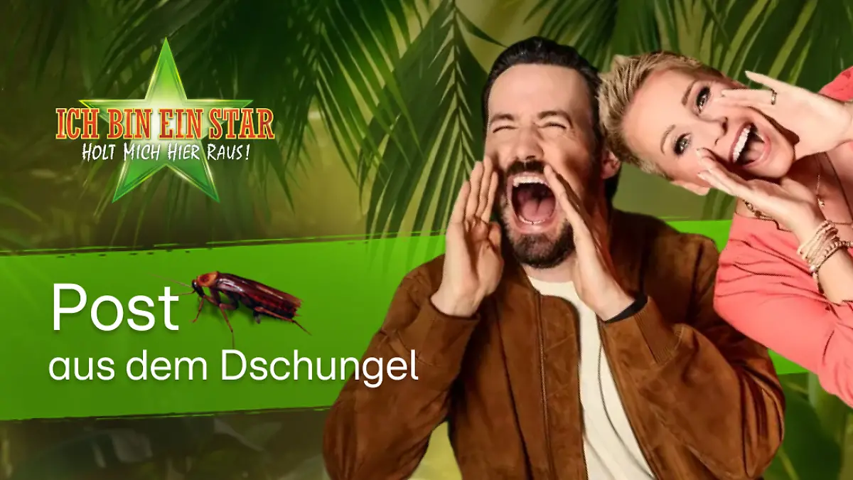 Der Newsletter zum Dschungelcamp 2026