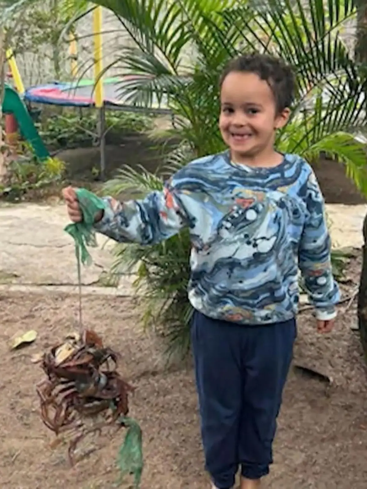 Bild zu: "8-Jähriger Noah aus Frankfurt vermisst"