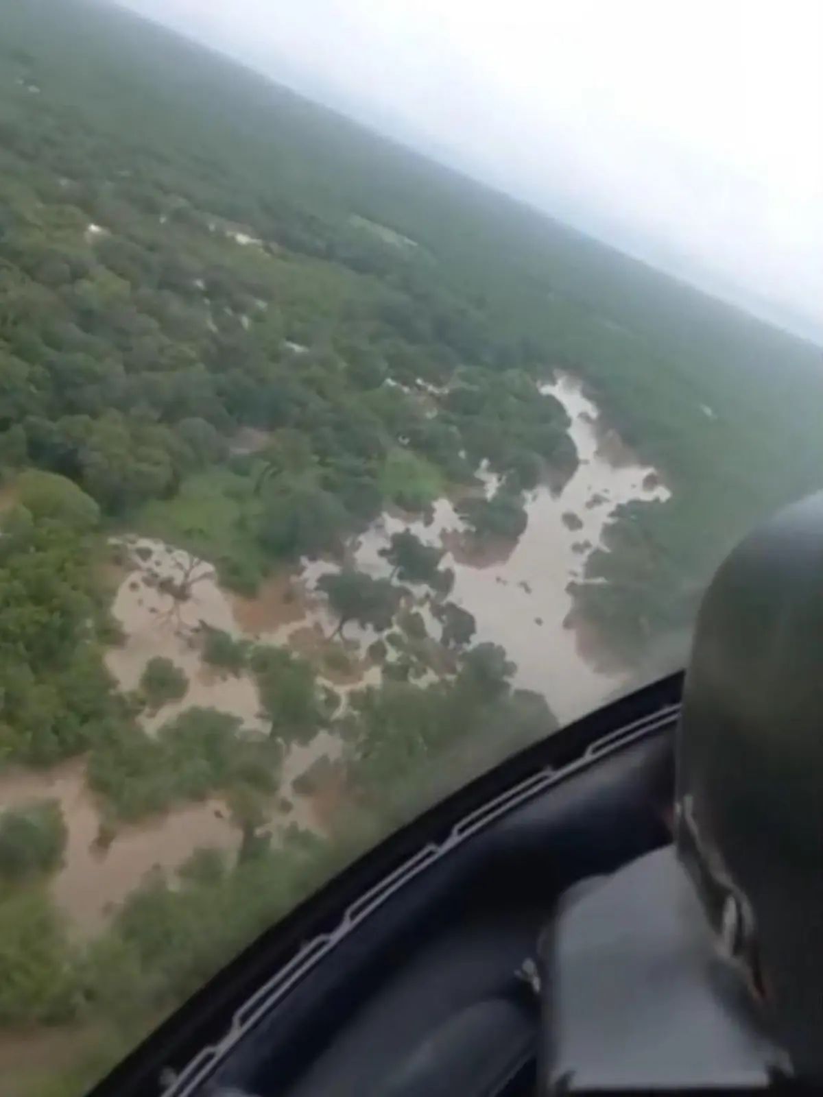 Bild zu: "Krüger-Nationalpark evakuiert! Heftige Überschwemmungen lassen Brücken einstürzen"