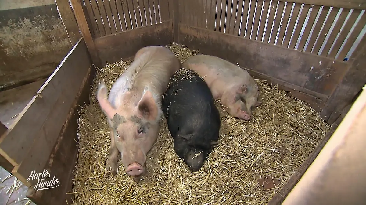 Neubeginn im Matsch Baustelle trotz Unwetter