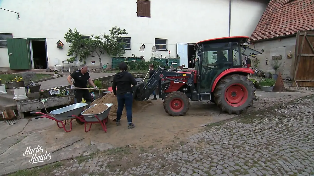 Der Schweineauslauf bekommt Sand Vollgas fürs Schweineglück