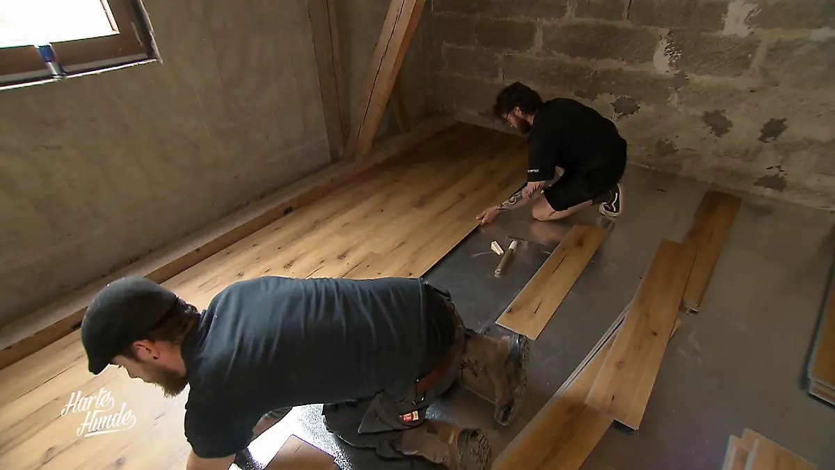 Röntgen für die Esel, Bau für die Katzen Notfallcheck und Geheimprojekt