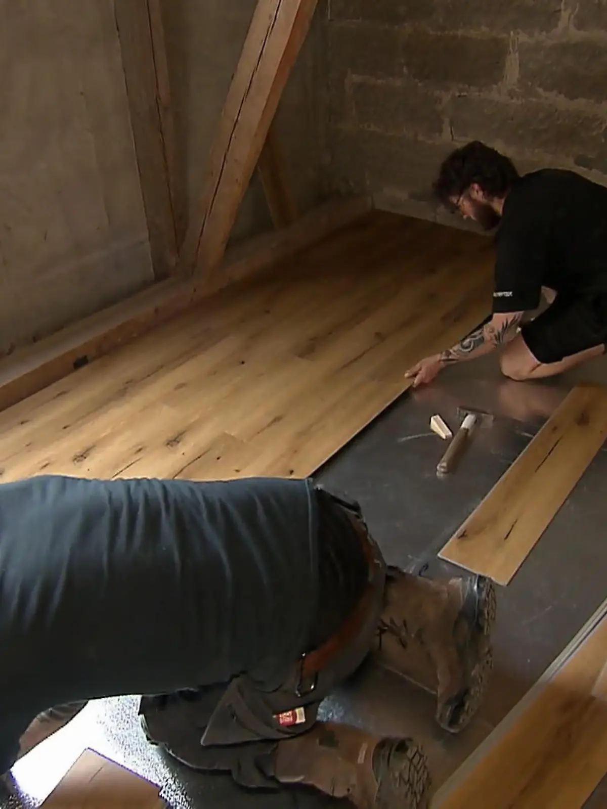 Bild zu: "Röntgen für die Esel, Bau für die Katzen"