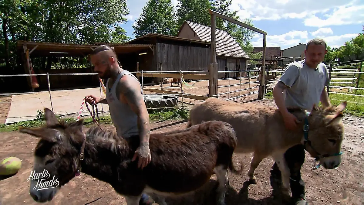 Geheimprojekt unter Druck Ablenkungsmanöver läuft