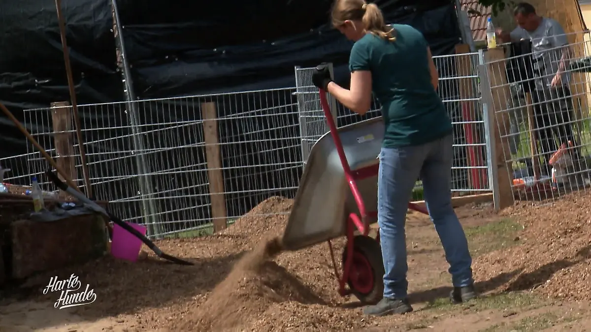 Bald heißt's: Einziehen! Finale im Schweinegehege