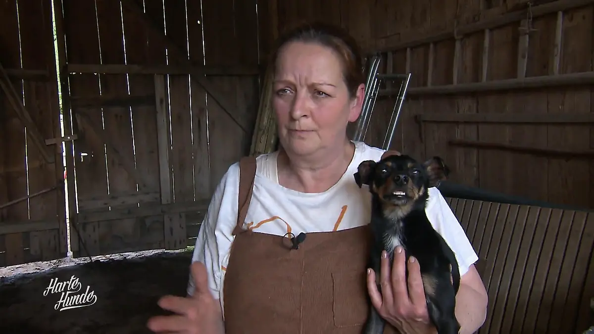 Kraft zurück auf vier Pfoten Physio-Start für Hugo