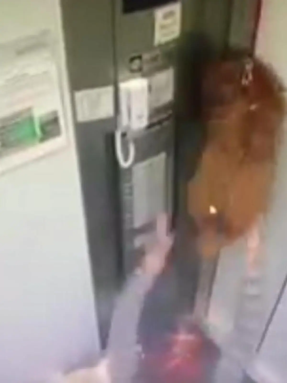 Großer Schock für eine Hundebesitzerin: Ihr Hund hängt an der Leine, die in der Aufzugstür festklemmt.
