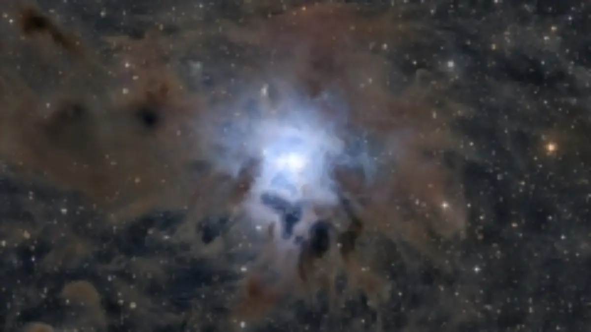 Der Irisnebel: Fotografiert von Justus Falk, ausgezeichnet von der NASA.