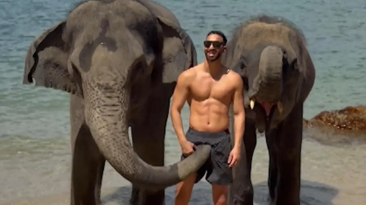 Penis-Attacke-Elefant-begrapscht-Touristen-am-Strand-mit-seinem-R-ssel