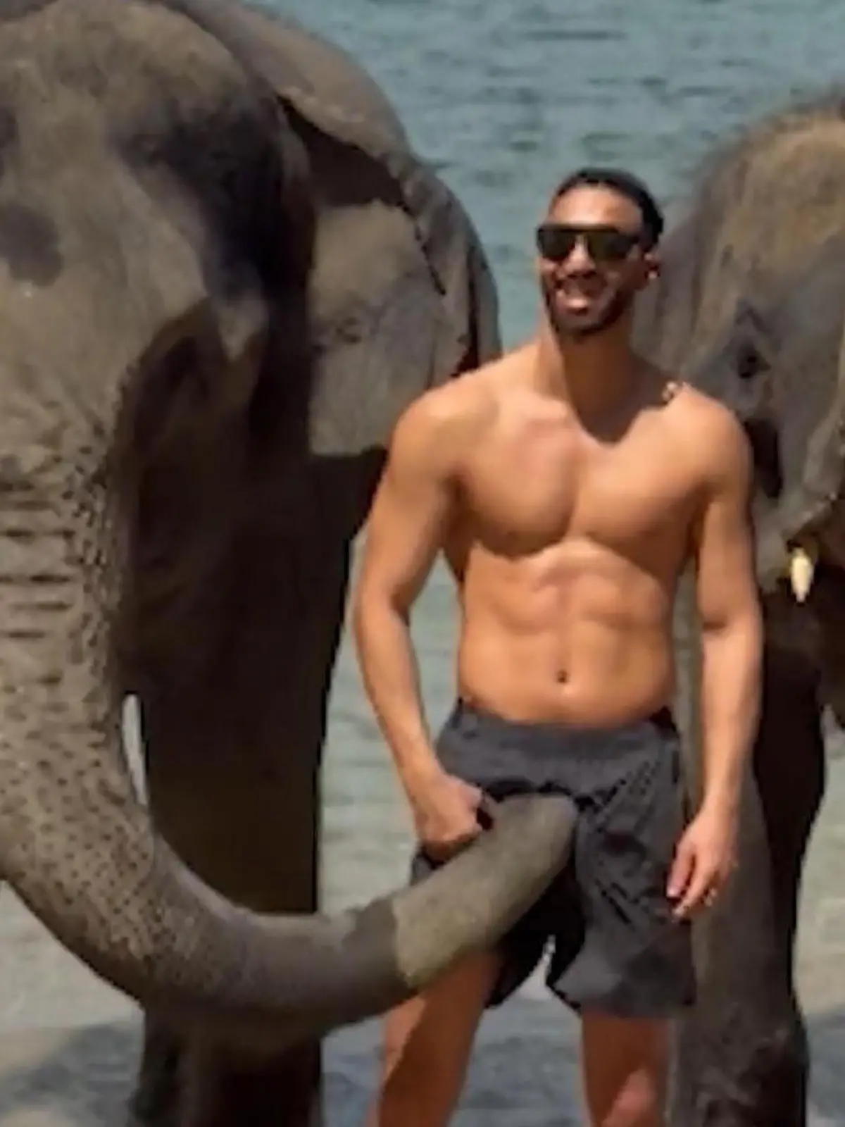 Bild zu: "Penis fest im Griff! Elefant rüsselt sich Touristen am Strand"