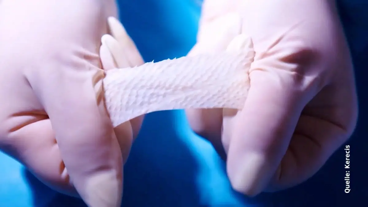 Kann Fischhaut bald unsere Wunden heilen? Fischpflaster aus Island im Test