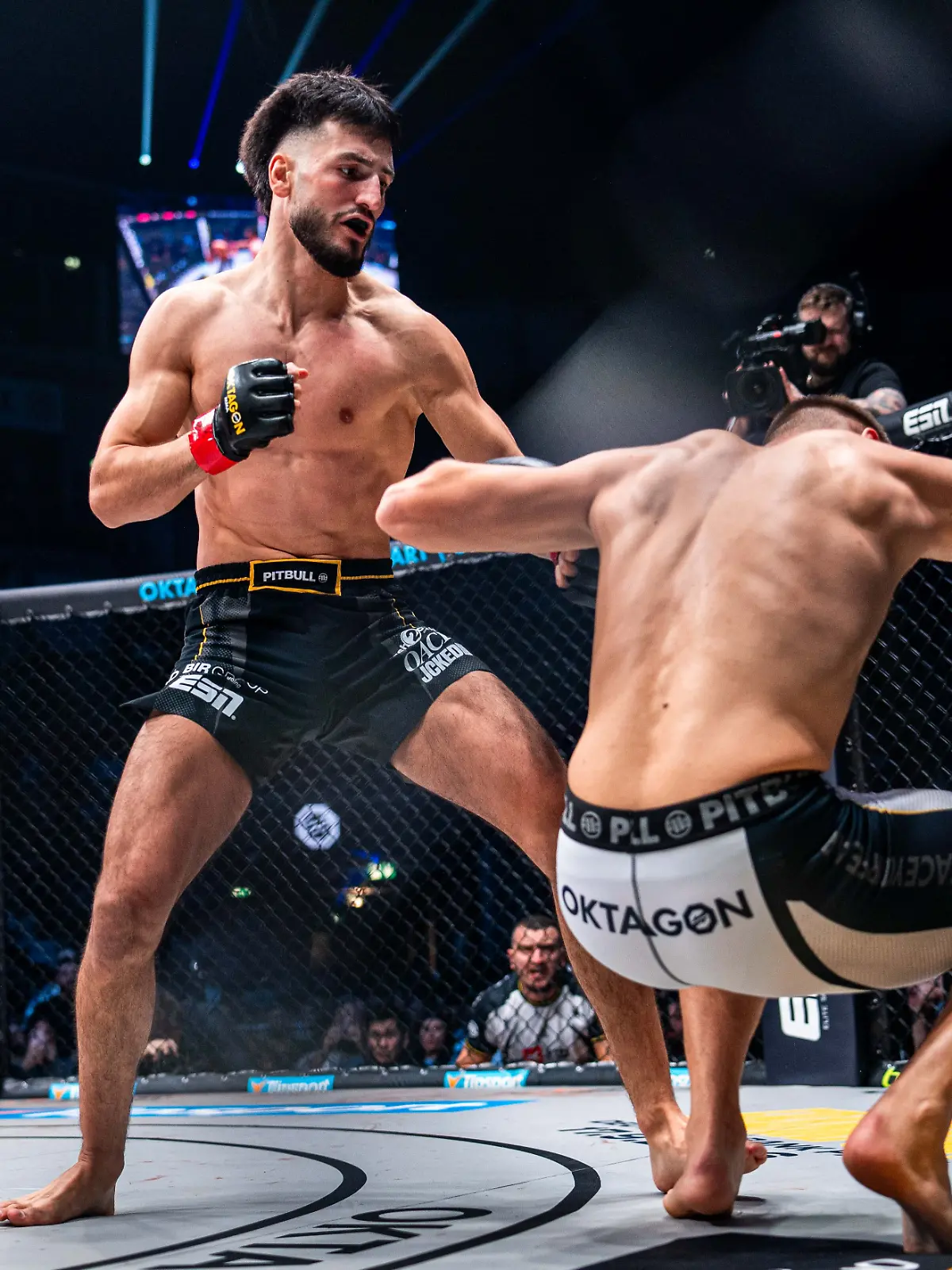 Bild zu: "DFB-Stars sehen nächste Show von MMA-Kämpfer Dulatov!"