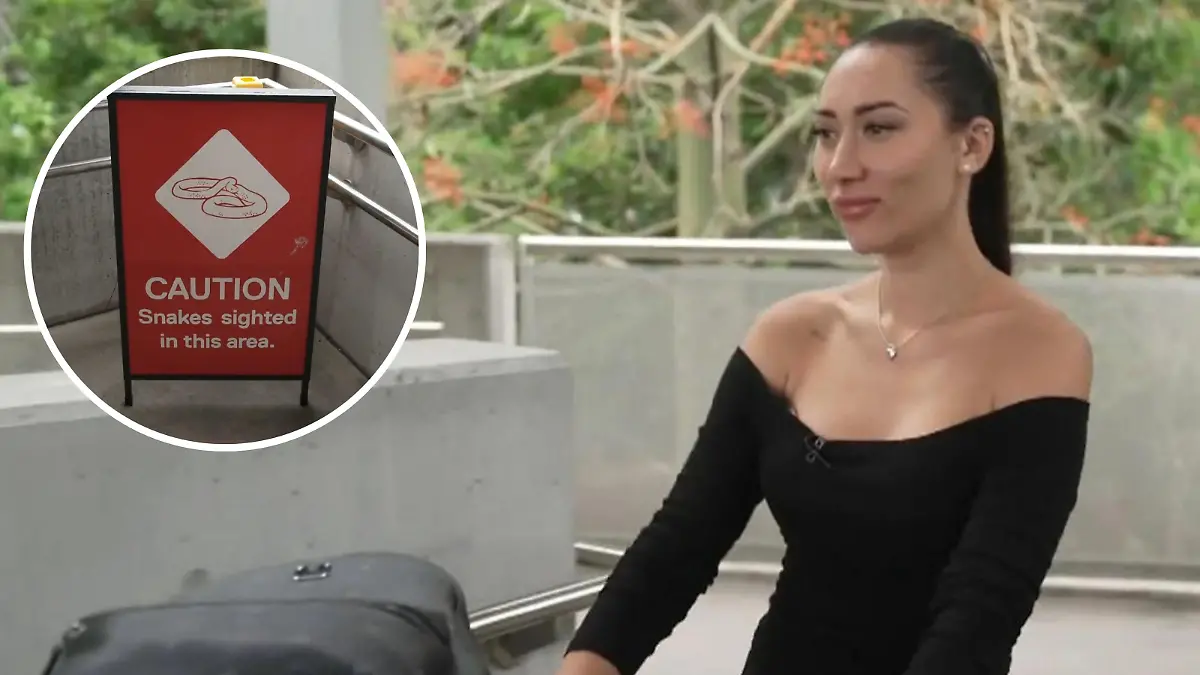 Schlange(n) gesichtet?! Seitenhieb gegen Eva Benetatou! Samira Yavuz stichelt nach Ankunft Dschungelcamp 2026