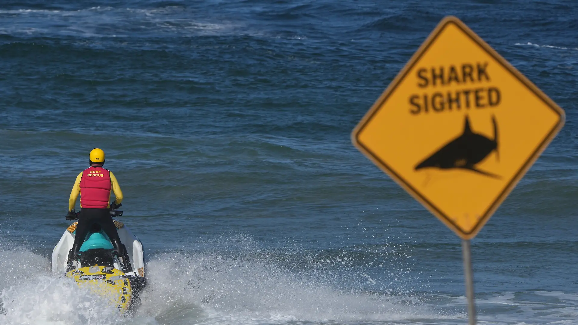 Lebensretter am Shark Beach bei Sydney (Symbolfoto)