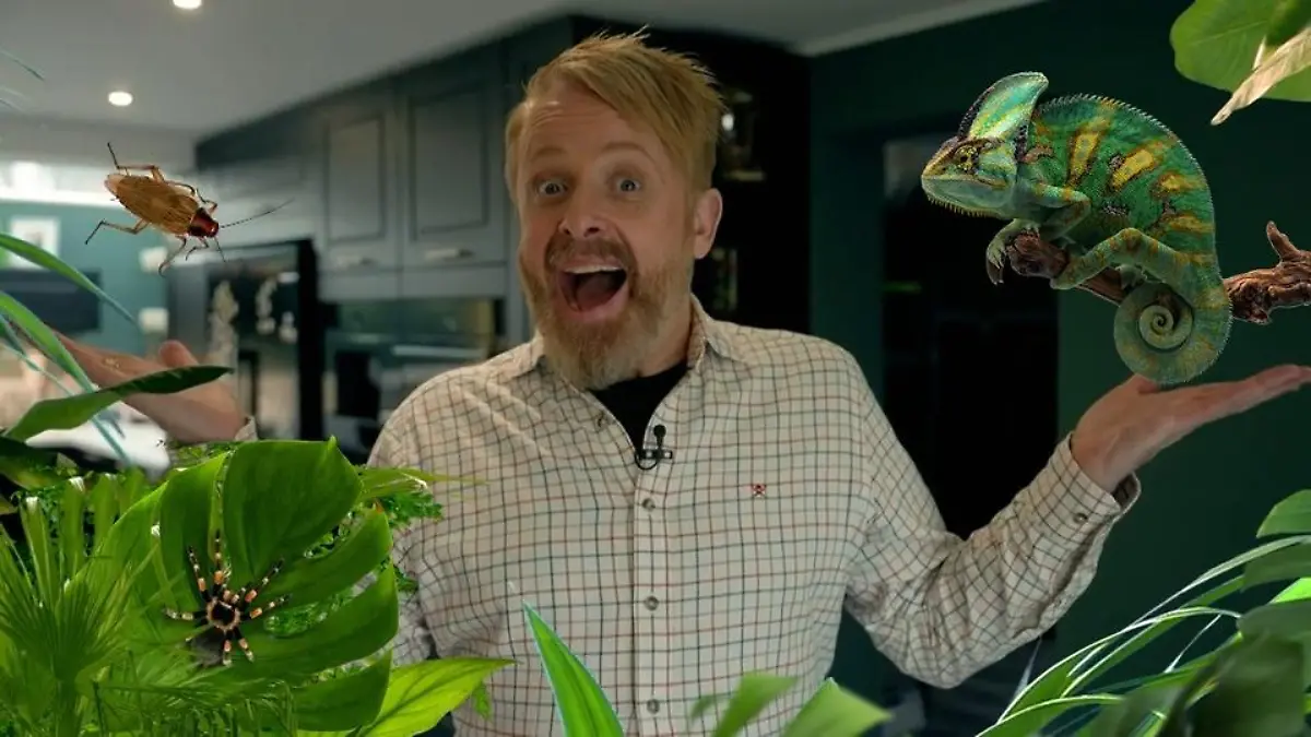 So hat das Dschungelcamp Ross Anthonys Leben verändert „Ich bin ein Star – Holt mich hier raus!“