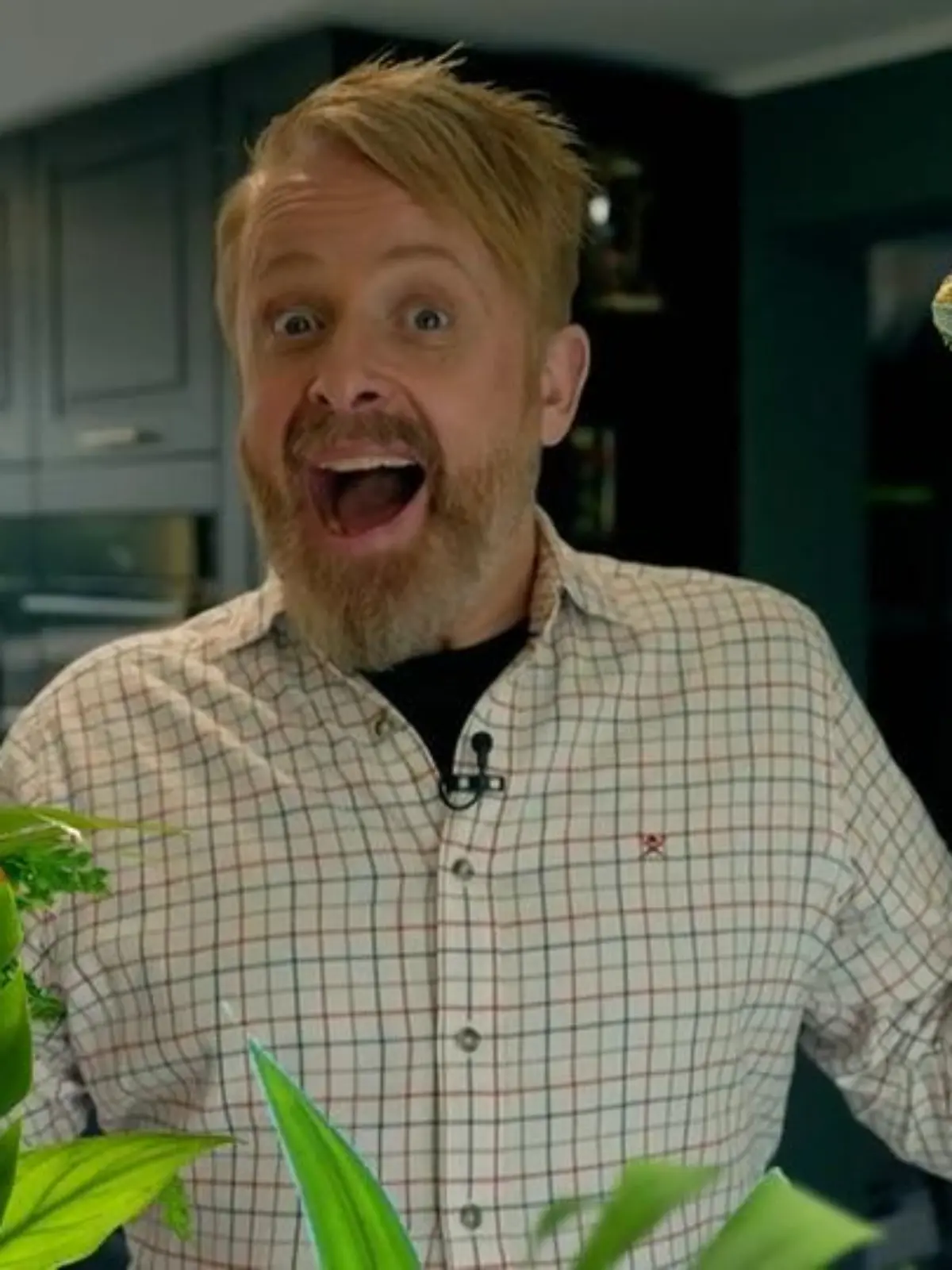 Bild zu: "So hat das Dschungelcamp Ross Anthonys Leben verändert"