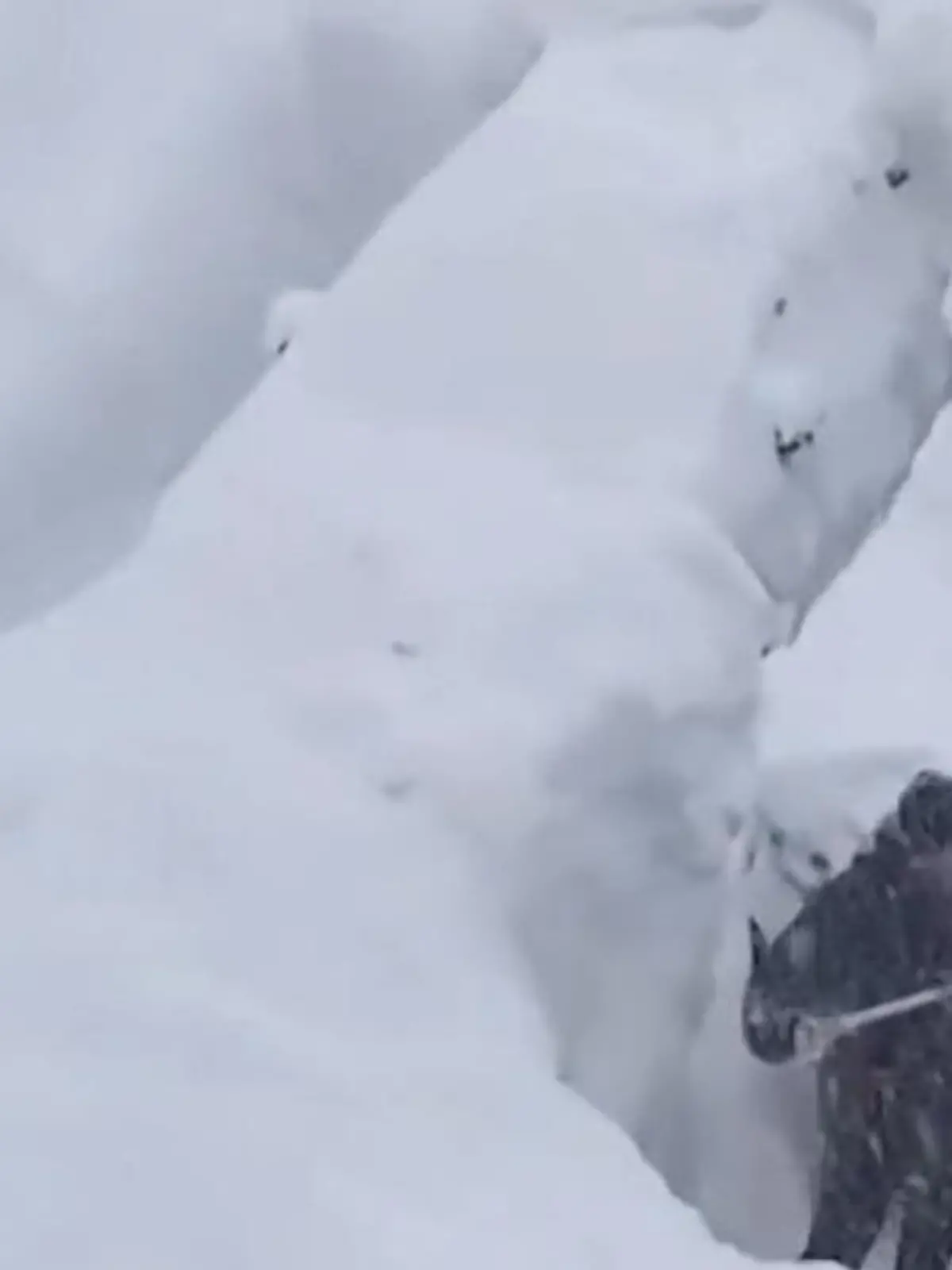 Bild zu: "Bis zur fünften Etage hoch! Schneemassen erdrücken Halbinsel"