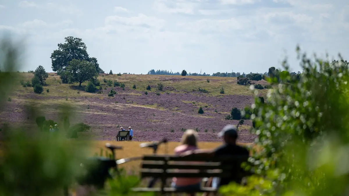 Schöne Landschaften wie die Lüneburger Heide prägen Niedersachsens Wahrnehmung – wirtschaftlich sieht das Bild dagegen durchwachsen aus. (Archivbild)