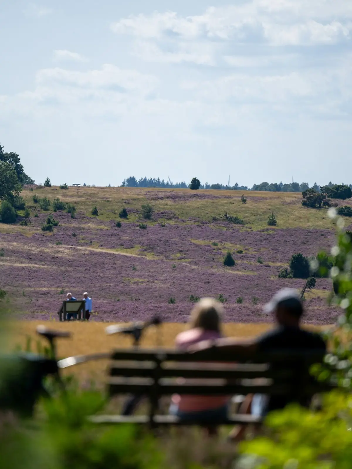 Bild zu: "Umfrage-Schock! Dieses Bundesland ist schön, aber langweilig"