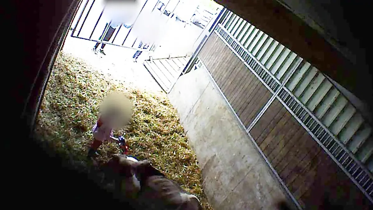 Tierquälerei in Tierhaltung des Familienunternehmens "Mecke" in Werne (Unna).