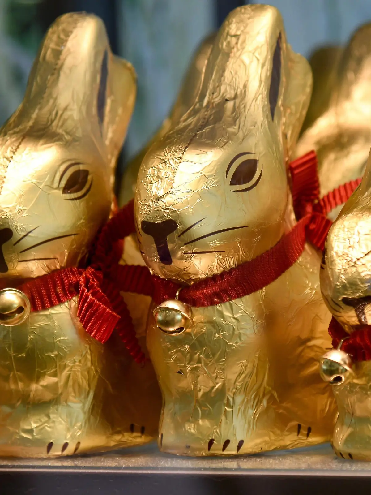 Goldene Schoko-Osterhasen stehen in Reih und Glied in einem Schaufenster in Freiburg