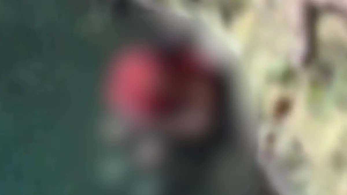 Paar-hat-Sex-an-Naturwunder-inmitten-von-Touristen-