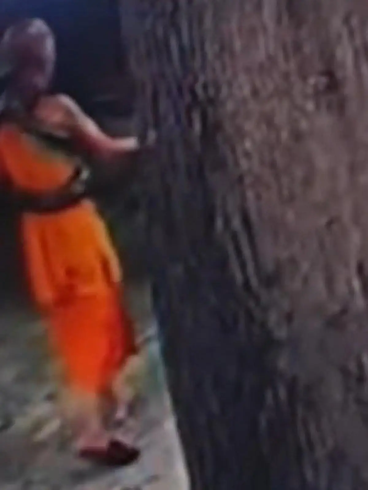 Bild zu: "Riesiger Python hat Mönch im Würgegriff – er kann nur noch um Hilfe flehen!"