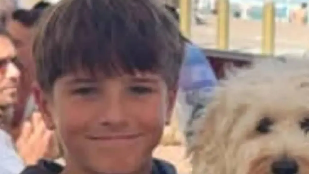 Nico Antic von Hai angegriffen 