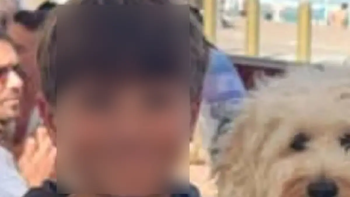 Nico Antic von Hai angegriffen 