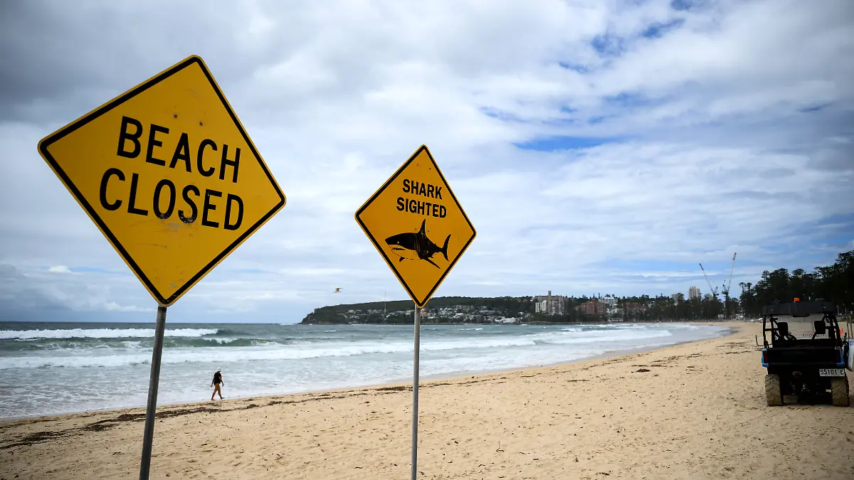 NORTH STEYNE BEACH SHARK ATTACK, A general view at North Steyne Beach in Sydney, New South Wales, Tuesday, January 20, 2