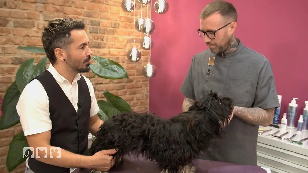 Alec soll endlich jung aussehen Makeover fürs Sorgenkind