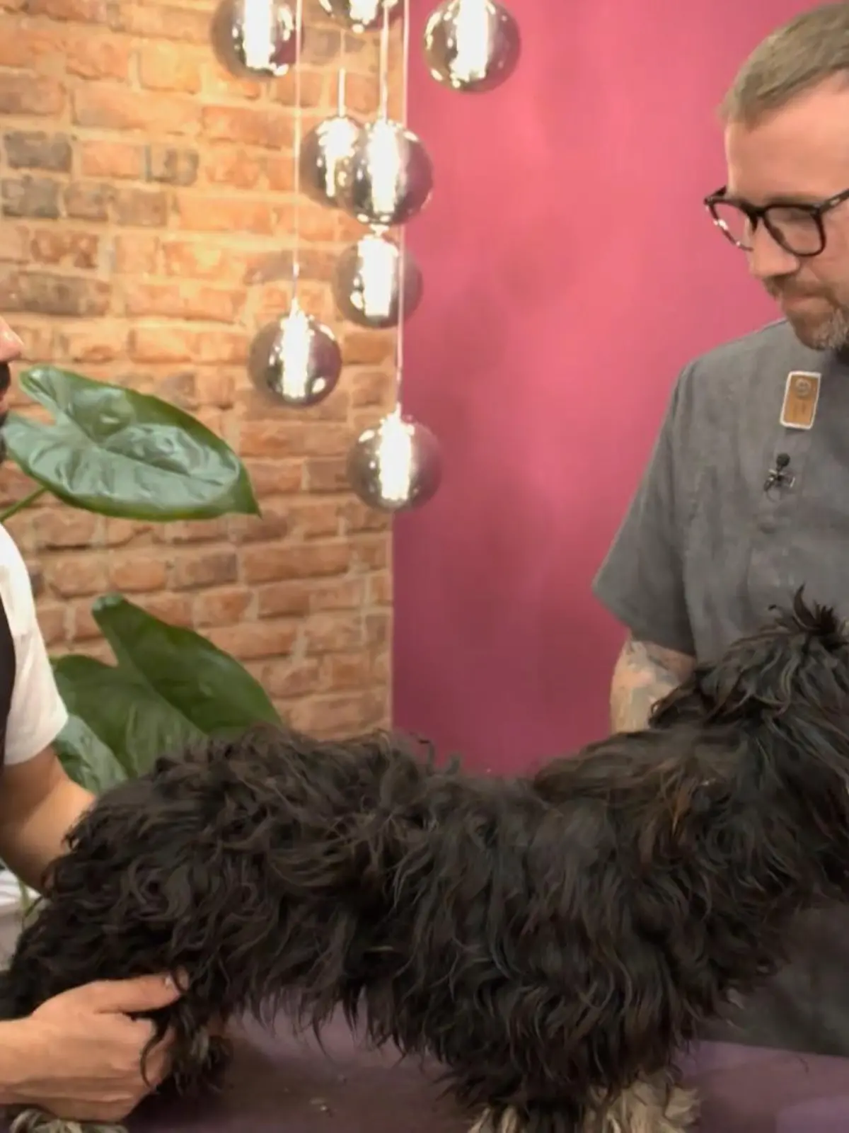 Bild zu: "Alec soll endlich jung aussehen"