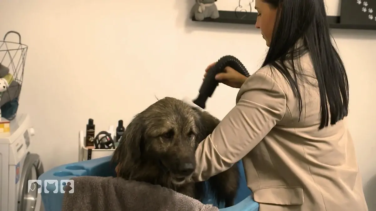 Durchhalten für die Traumfrisur Keine Lust aufs Föhnen