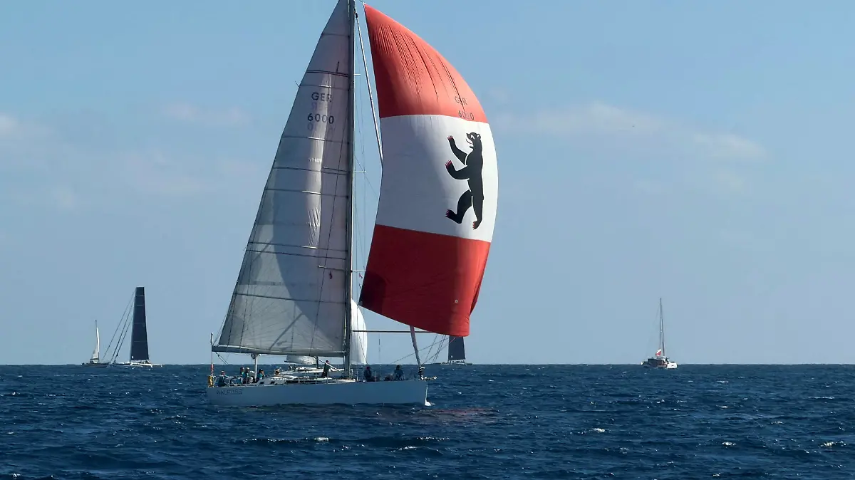 Segel-Yacht Walross 4