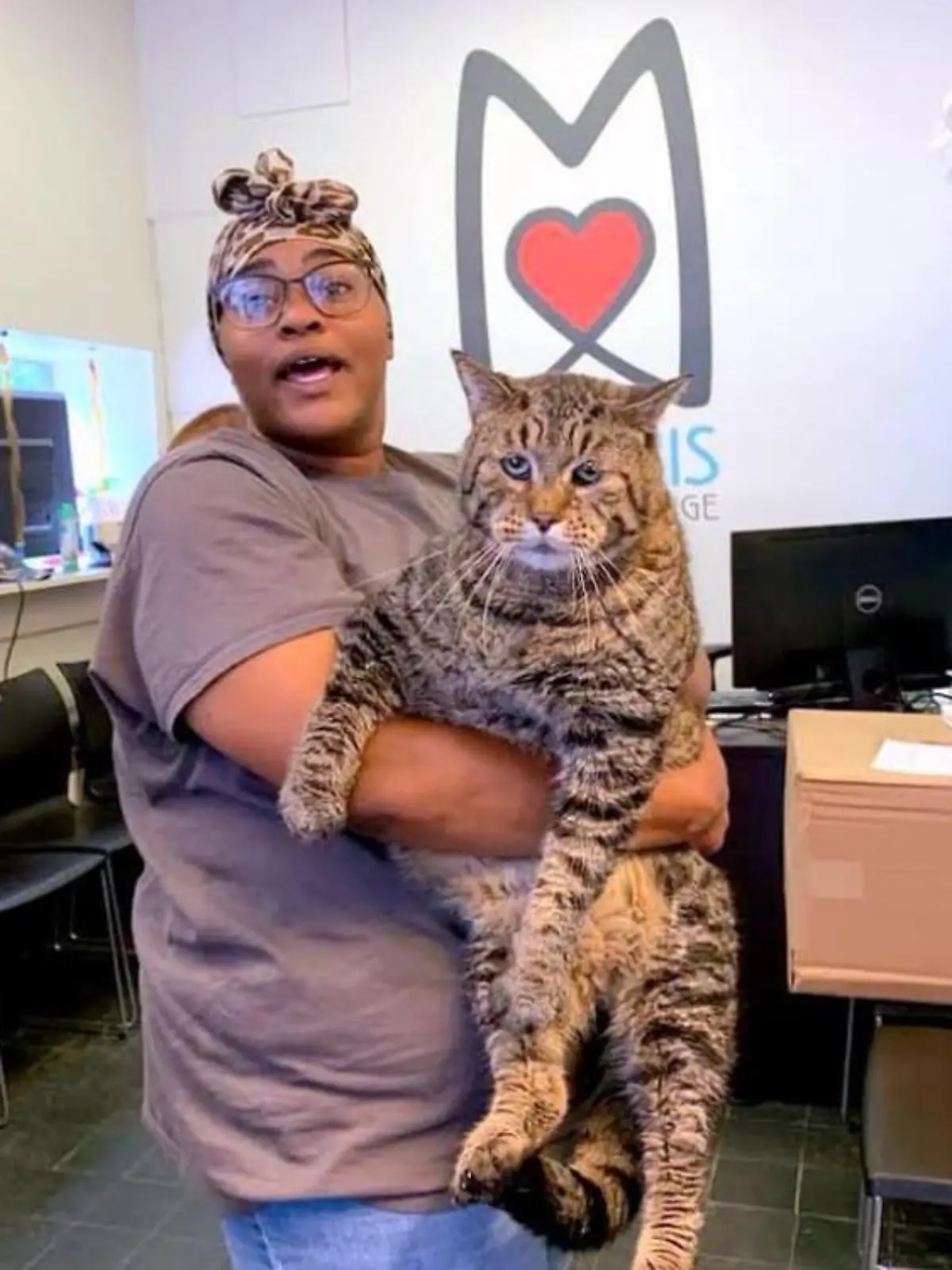 Kater "Mr.B" plötzlich auf der ganzen Welt bekannt